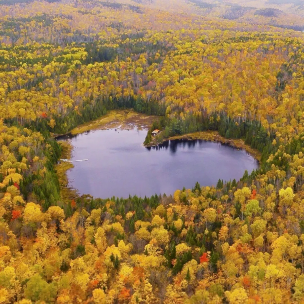 第一次做平板支撐,我輸給了閨女 第一次做平板支撐,我輸給了閨女