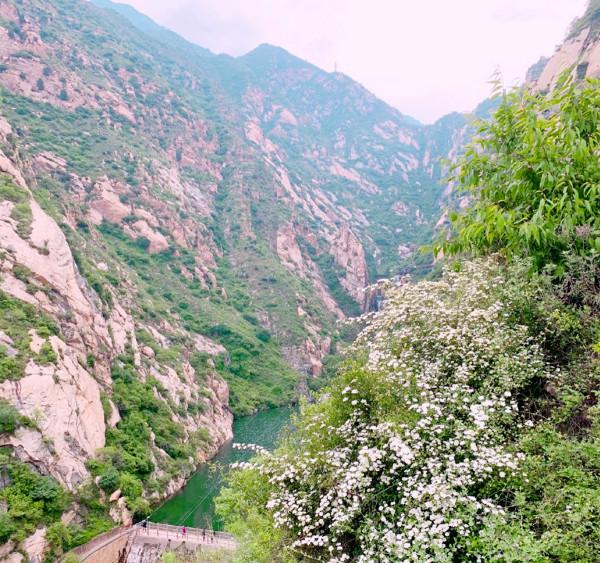 山西中條山,為啥這麼重要?看到地圖就明白了 山西中條山,為啥這麼重要?看到地圖就明白了