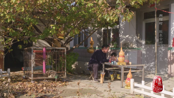 一畝地十萬塊,看小小西紅柿如何“紅火”了膠東半島上這個村 一畝地十萬塊,看小小西紅柿如何“紅火”了膠東半島上這個村