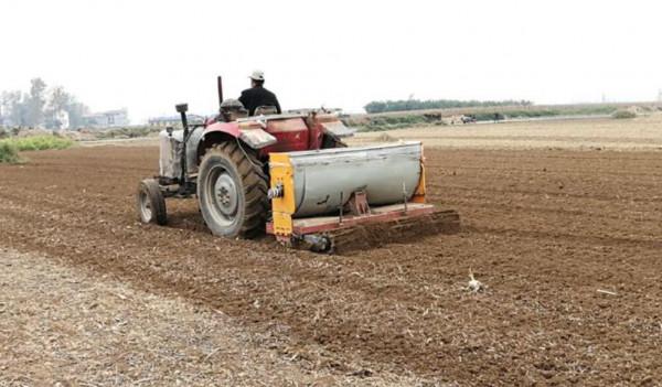 農村小麥種植，土壤深耕，為何沒達到高產？反而減產30%，鬱悶啊