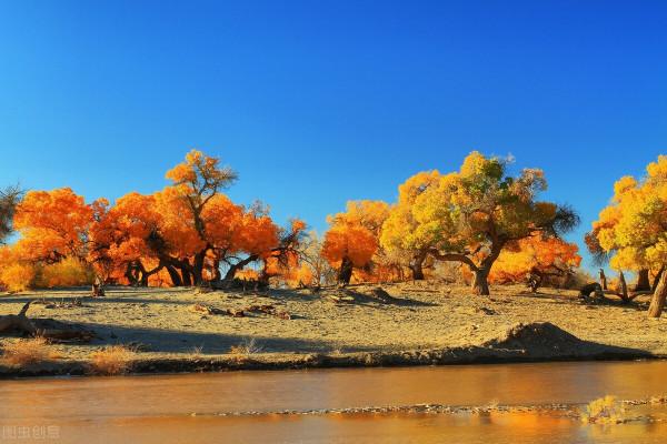 自駕遊西安到額濟納,行程3000多公里,走河西走廊還是寧夏內蒙古 自駕遊西安到額濟納,行程3000多公里,走河西走廊還是寧夏內蒙古