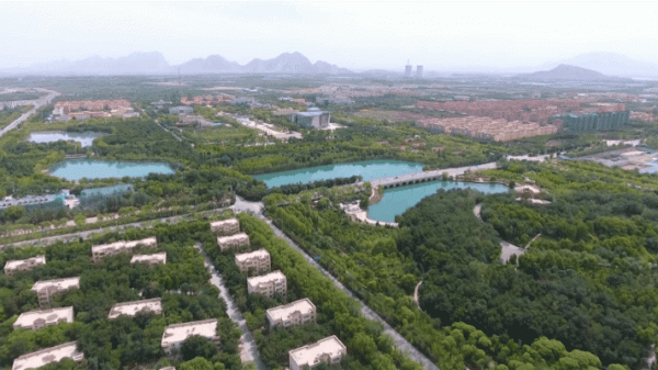 連隊美，兵團美