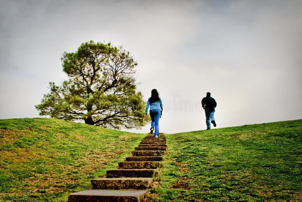 喝茶的九大真相