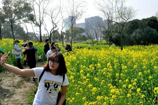 怎樣看待米國社會的穩定性