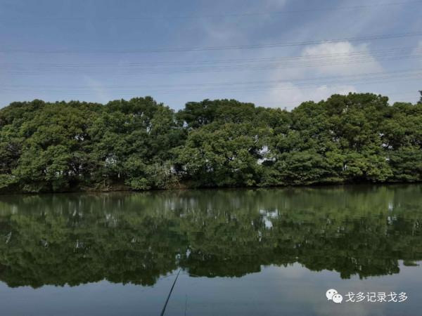 快樂遊釣遇見野猴,一路上意外多多,驚喜不斷 快樂遊釣遇見野猴,一路上意外多多,驚喜不斷