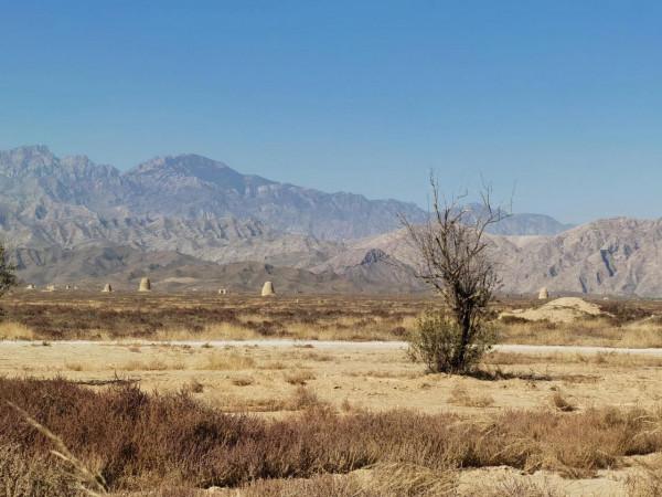 說說自駕遊開什麼車? 說說自駕遊開什麼車?