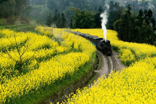 親愛的閨蜜，我們一起去這15個地方，每年去一個，可好？