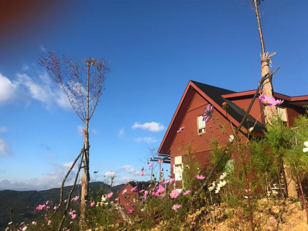 無量山櫻花谷：世外桃源，人間仙境