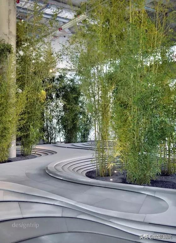 家有竹園，這才是極具風雅之事