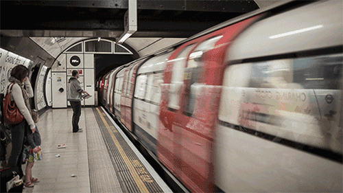 開趴、吃席、制梅子……馬未都攜萌貓演繹古人日常，太有趣