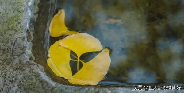 相由心生：你的長相，就是你內心的模樣