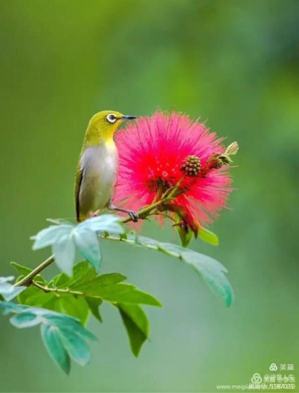 走在古城秋色裡