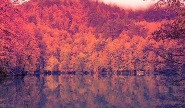 五彩斑斕的風景等你來