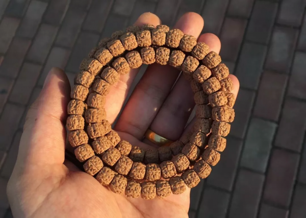 小金剛菩提的一代龍何在? 小金剛菩提的一代龍何在?