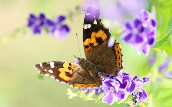 請不要認為他們“沒有主心骨”,雖然話少,但很有想法的星座 請不要認為他們“沒有主心骨”,雖然話少,但很有想法的星座