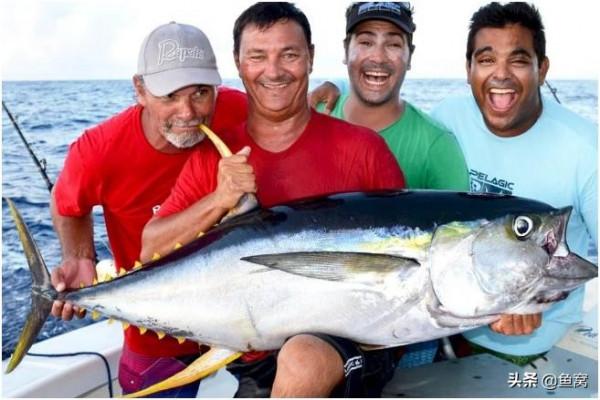 英國小姐姐是這麼看深海釣的