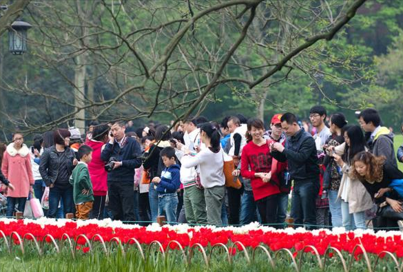 去西湖旅遊的人哭了，遊客能把西湖填滿了，網友：看景還是看人？