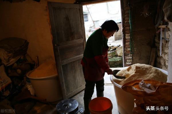 河南5旬大嬸為愛私奔，給人當5年免費保姆，現被趕出門，聽她咋說