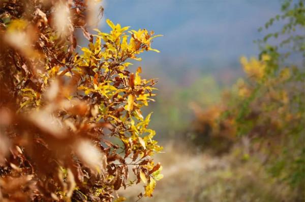 10句話，一些柔軟的力量