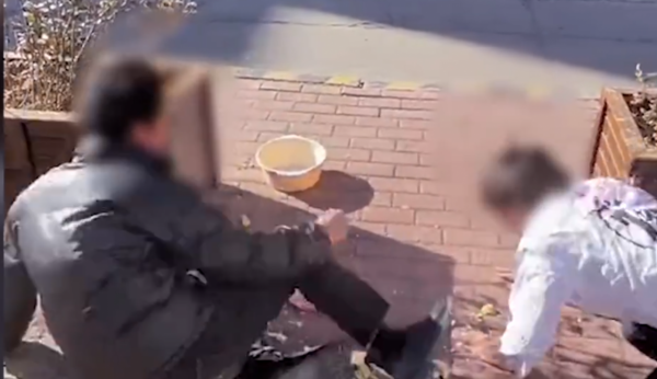 美國21歲女孩扮狗走紅網路，年入百萬