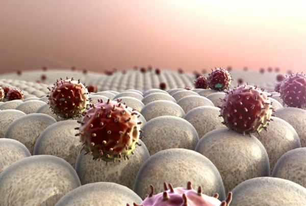 一波急漲！黃金暴拉近20美元，投行：2022年黃金均價1630美元