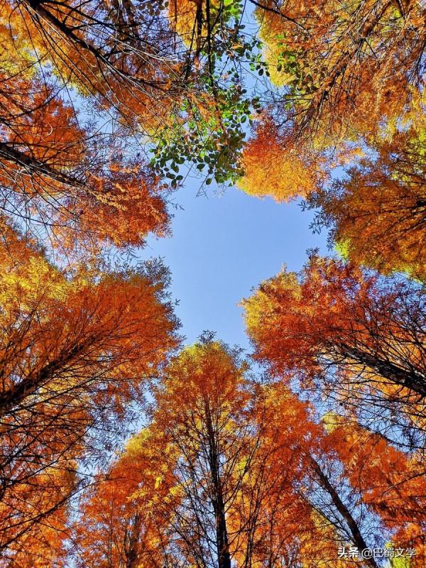 散文:擁抱我的2021 散文:擁抱我的2021