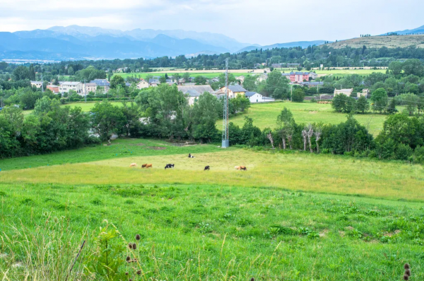 不熟悉農業、缺少團隊、沒有盈利專案？6個火爆模式得1即可