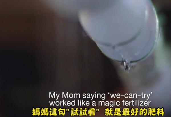 我用了4年,成功毀掉了孩子的好奇心,“一分鐘影片”看清全過程 我用了4年,成功毀掉了孩子的好奇心,“一分鐘影片”看清全過程