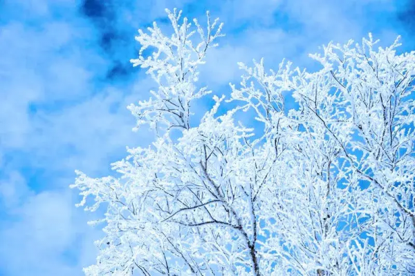 適合冬天的12條小眾自駕路線，人少景美，年末，選一條就出發吧