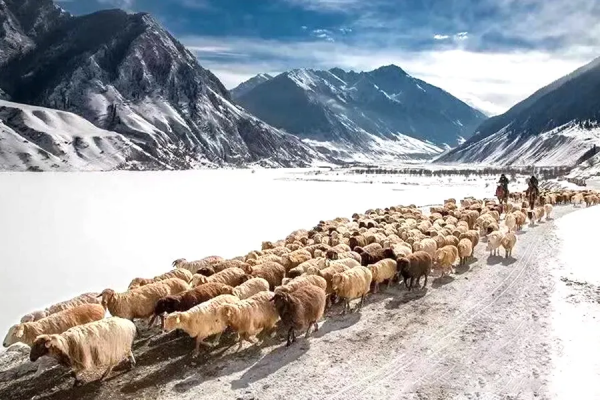 去全國八大最美賞雪地,吃肉喝酒快活賽神仙 去全國八大最美賞雪地,吃肉喝酒快活賽神仙