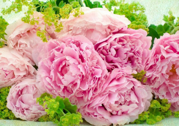 12月，4個星座，誠實正直，從不弄虛作假，用誠信換來事業高升