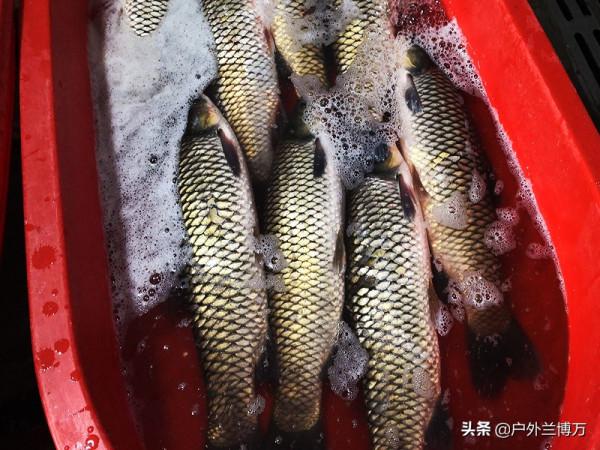 水庫守釣20天，漁獲500斤！帶走時被人指著鼻子：不要太貪心