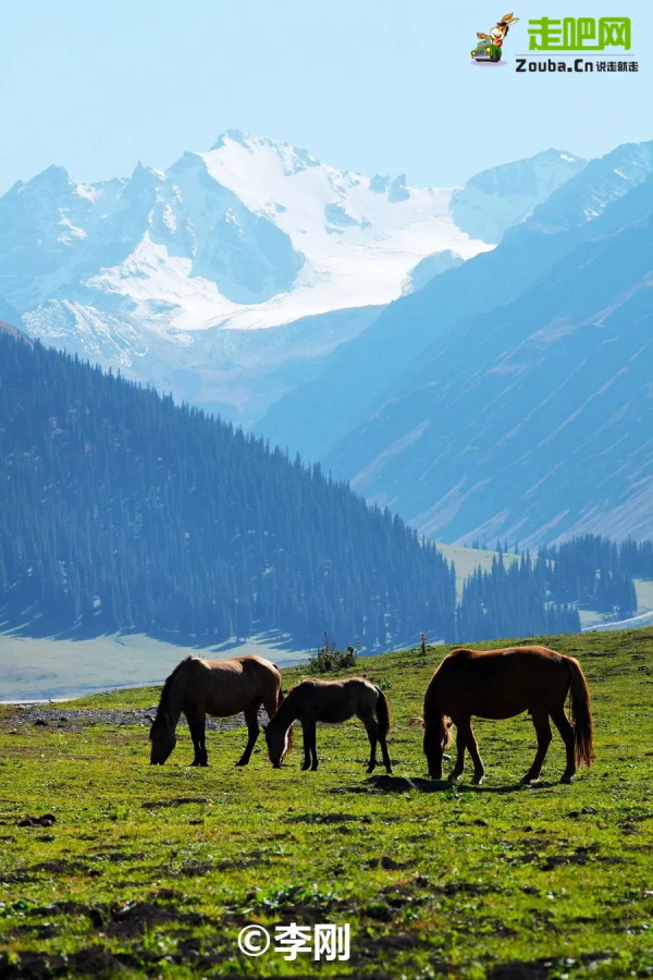 全球最美公路在中國！10065公里世界級大道，​從雪域高原到海洋