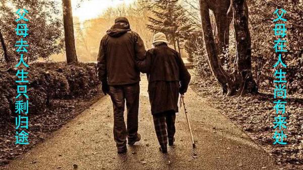 父母在的地方才叫家