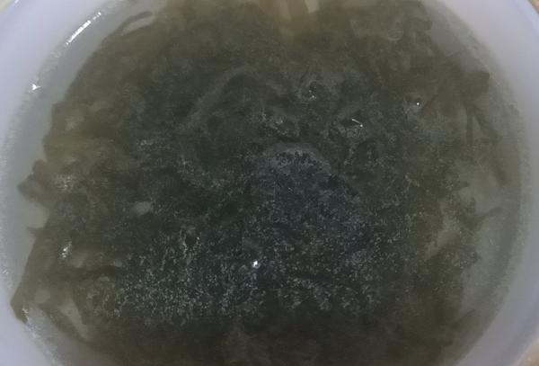 中秋節回孃家(上) 中秋節回孃家(上)