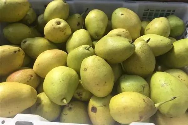 秋季乾燥易上火，想要平息肝火，多吃5種食物，都不貴