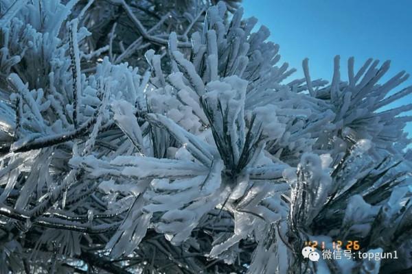 原來江南也有如此夢幻霧凇 原來江南也有如此夢幻霧凇