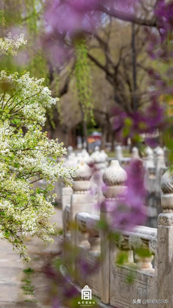 驚豔了時光，尋找故宮之美