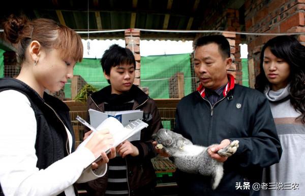 只要刷一刷曬一曬，能讓牛羊兔，長得快，無病蟲，效果好，掙錢多