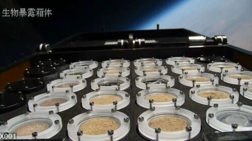 染綠火星!中國科學家已進入試驗階段 染綠火星!中國科學家已進入試驗階段