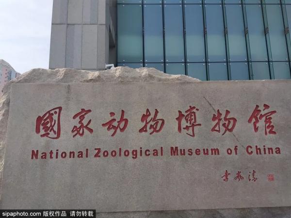 北京三家關於動物的博物館,帶你發現動物從古至今的那些秘密 北京三家關於動物的博物館,帶你發現動物從古至今的那些秘密