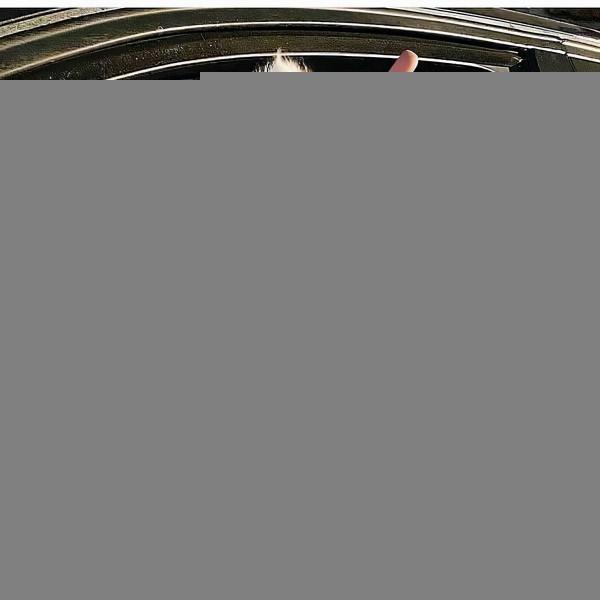 為啥狂犬病毒的致死率是99.99%,而不是100%,剩下的0.01%是誰? 為啥狂犬病毒的致死率是99.99%,而不是100%,剩下的0.01%是誰?