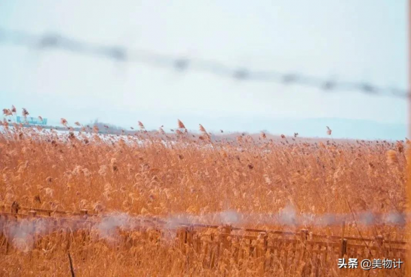 今冬最閒適的一首詩,這種慢生活,太令人嚮往了 今冬最閒適的一首詩,這種慢生活,太令人嚮往了