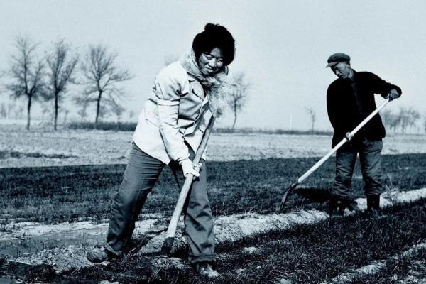 1982年,女子挖出2噸銀元主動上交國家,她後來過得怎樣? 1982年,女子挖出2噸銀元主動上交國家,她後來過得怎樣?