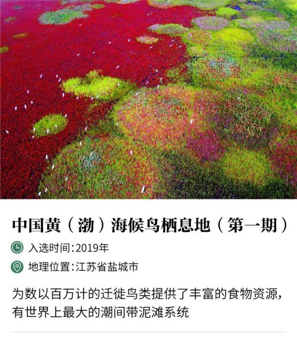 中國世界自然遺產數量全球第一，一起來看看都有哪些？