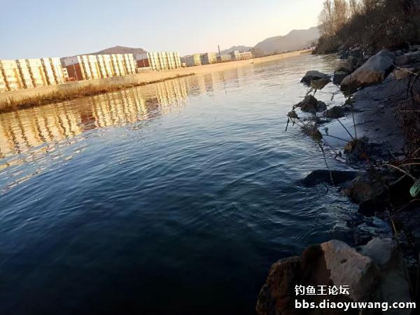 釣魚王餌兩腥配，帶來一次小豐收