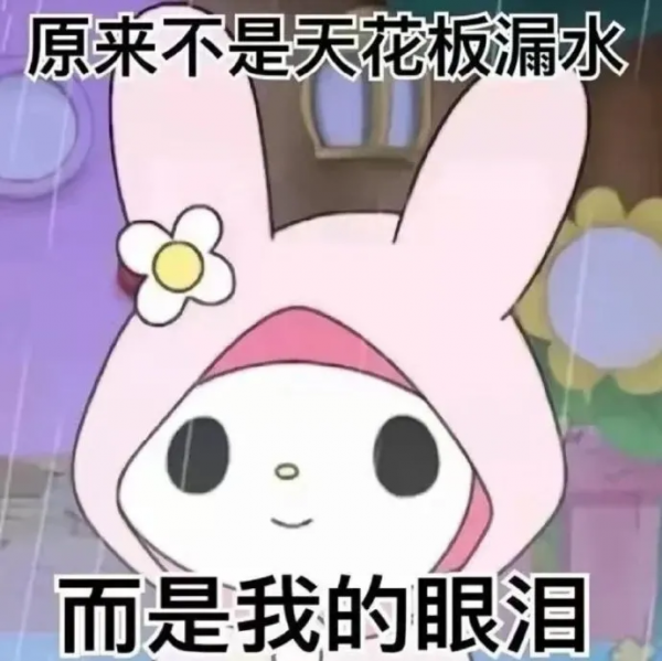 由於華測不接受我的送檢,今天聊養貓狗如何花小錢省事省大錢 由於華測不接受我的送檢,今天聊養貓狗如何花小錢省事省大錢