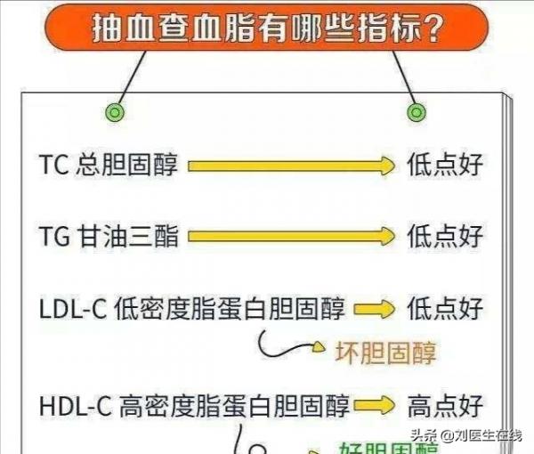 低密度脂蛋白，為什麼會高？醫生總結：4點主要原因