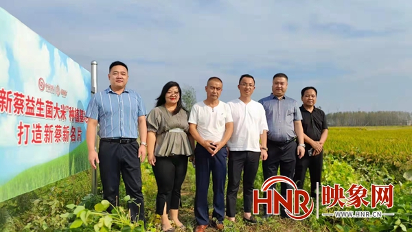 打造“魚米之鄉”新蔡縣交出鄉村振興最新“成績單”