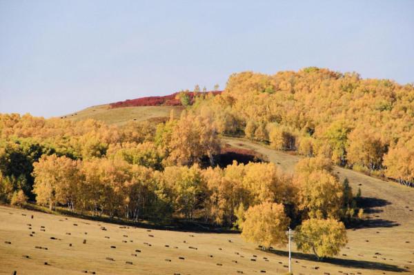 烏蘭布統的迷人秋色